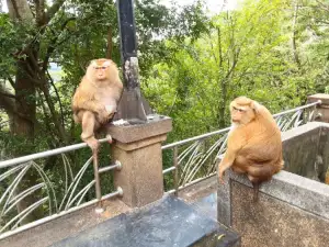 Wildlife Adventure Tours