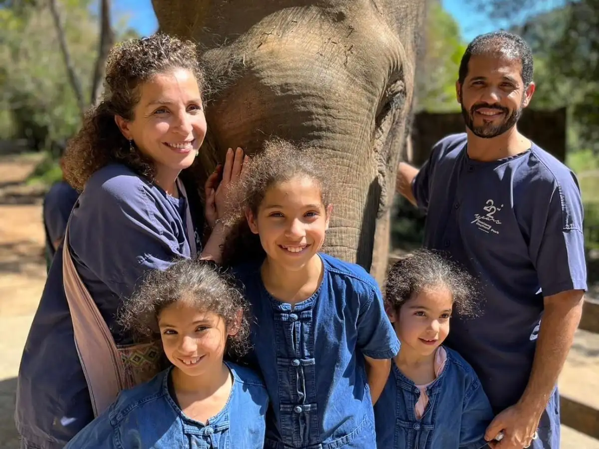 Spectacular Mae Rim Tour with Elephant Ride Private Transfer Personal Guide