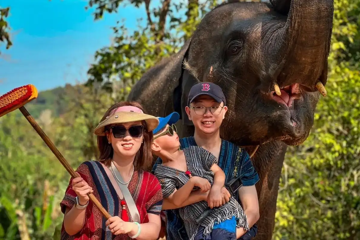 Half-Day Phuket Elephant Care Sanctuary Tour Experience You Will Treasure