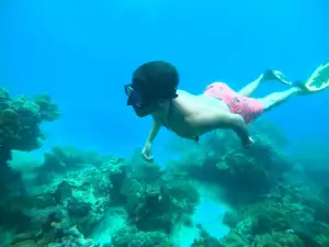 Diving and Snorkeling Tours