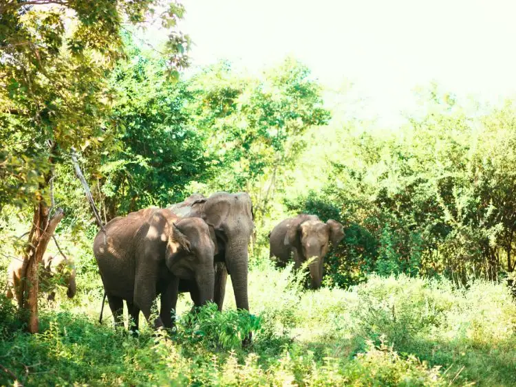 Tour image 6