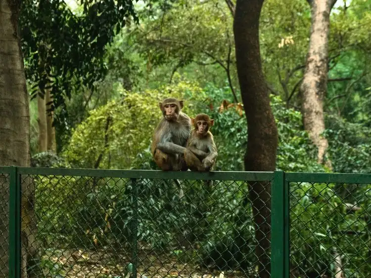 Tour image 8