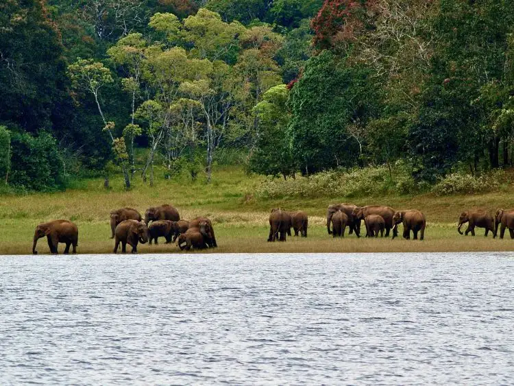 Tour image 12